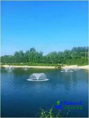 操作失誤會造成潛水曝氣機出現(xiàn)爬行嗎